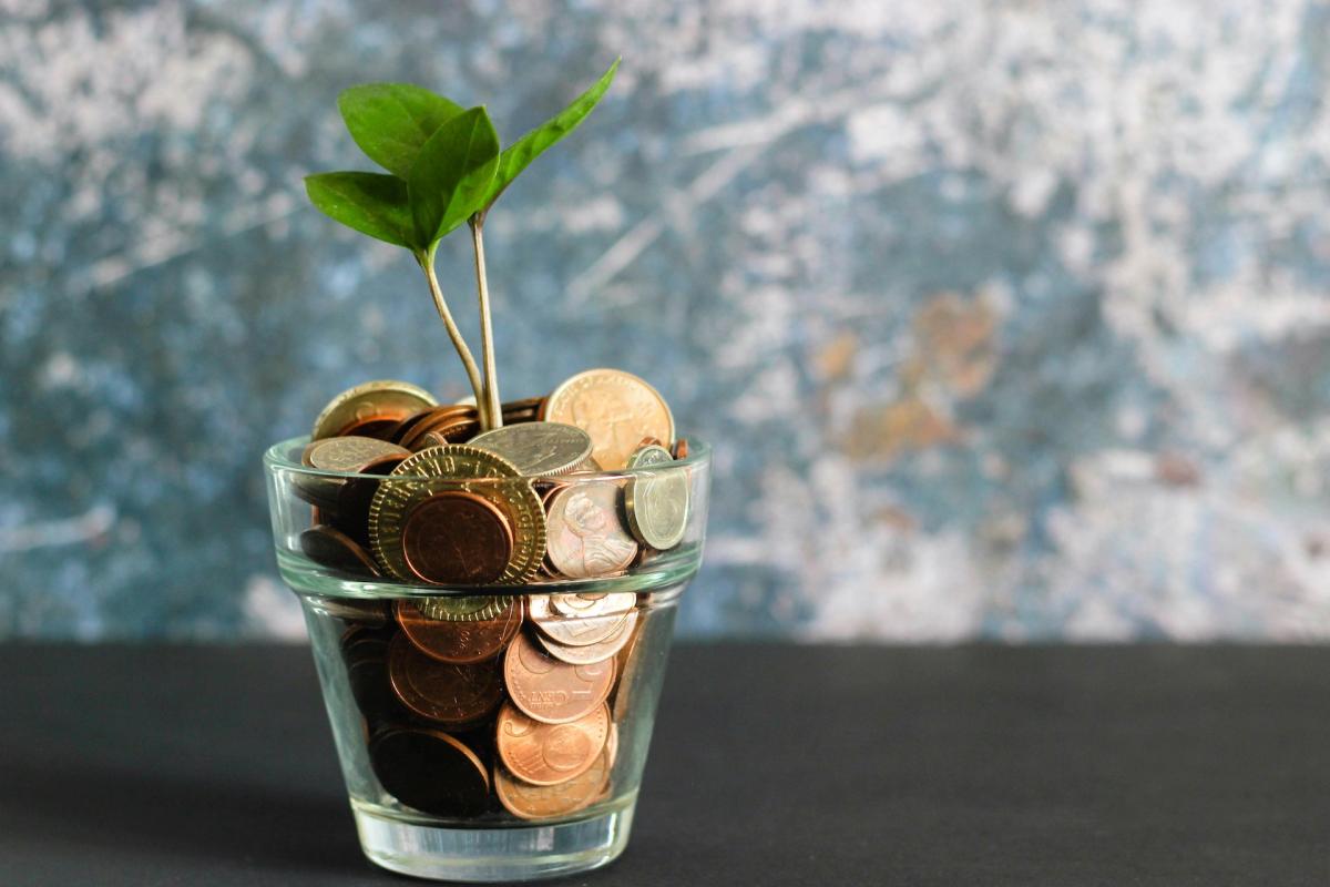 Gli eurodeputati approvano un nuovo standard sui Green Bond per combattere il greenwashing